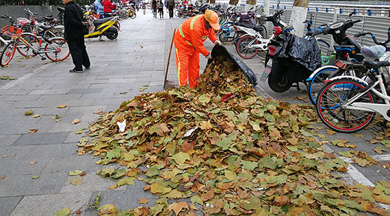江西省人民政府关于深入开展爱国卫生运动的实施意见